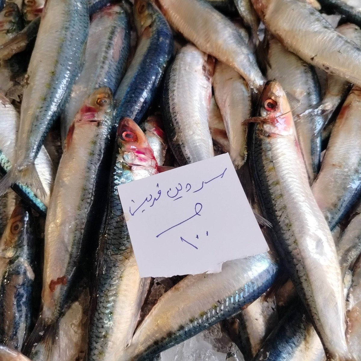 🎻البحار tweet media