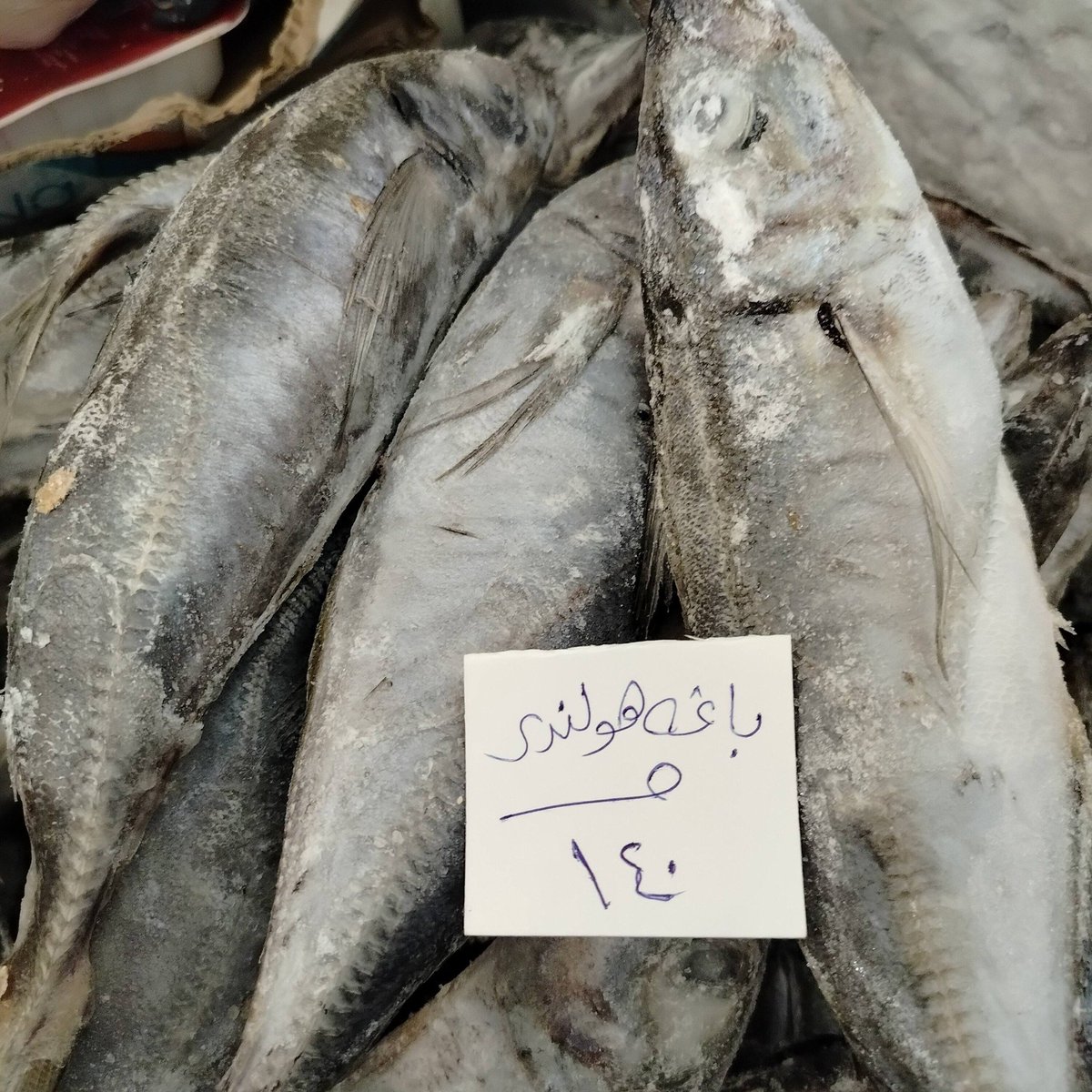 🎻البحار tweet media