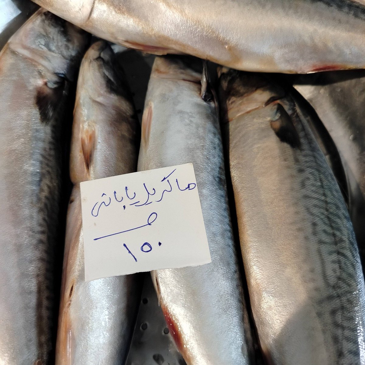 🎻البحار tweet media