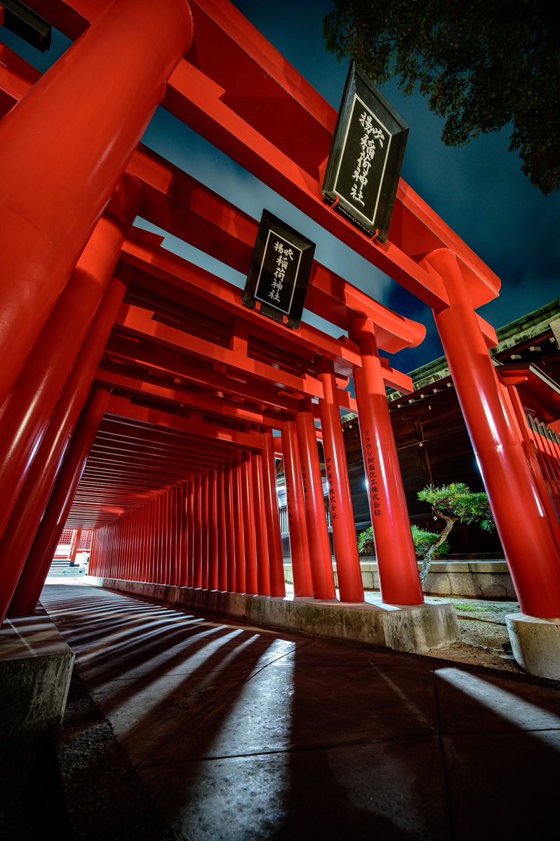 うえさん/Aliace🇯🇵 📸 tweet media