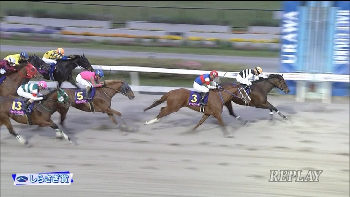 Z李 🇺🇦 NO WAR 🕊 tweet media