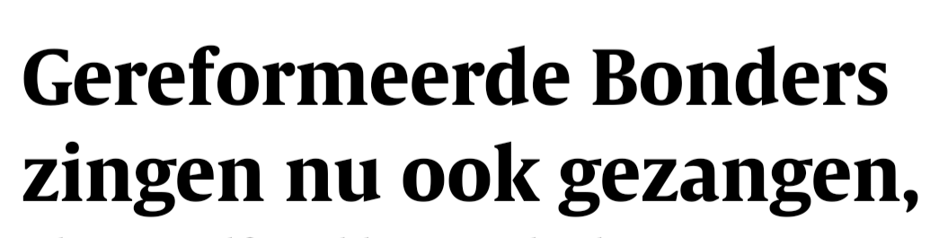 helene stafleu tweet media