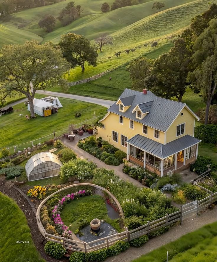 şöyle bir sakinlik tweet media