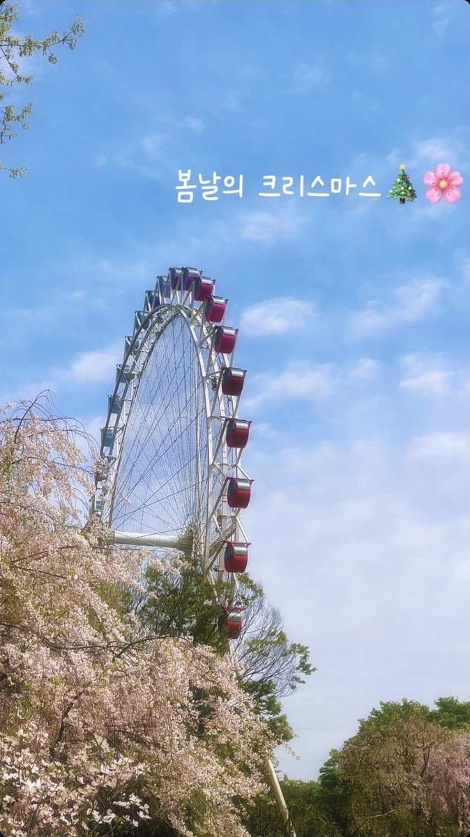 팀 신이랑 에버랜드 갔나? 옆에 다봉이  같은데ㅋㅋㅋ 다봉이 인스스에도 에버랜드 관람차 올라옴 
신이랑 모자쓰고 회전목마라니🥹너무 귀여웡