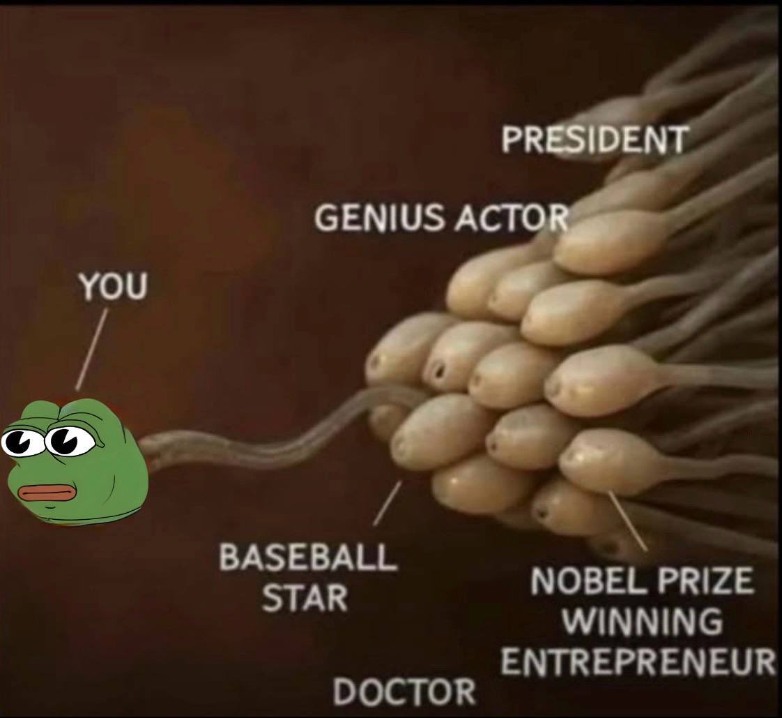 D R A G O N 🐉 tweet media