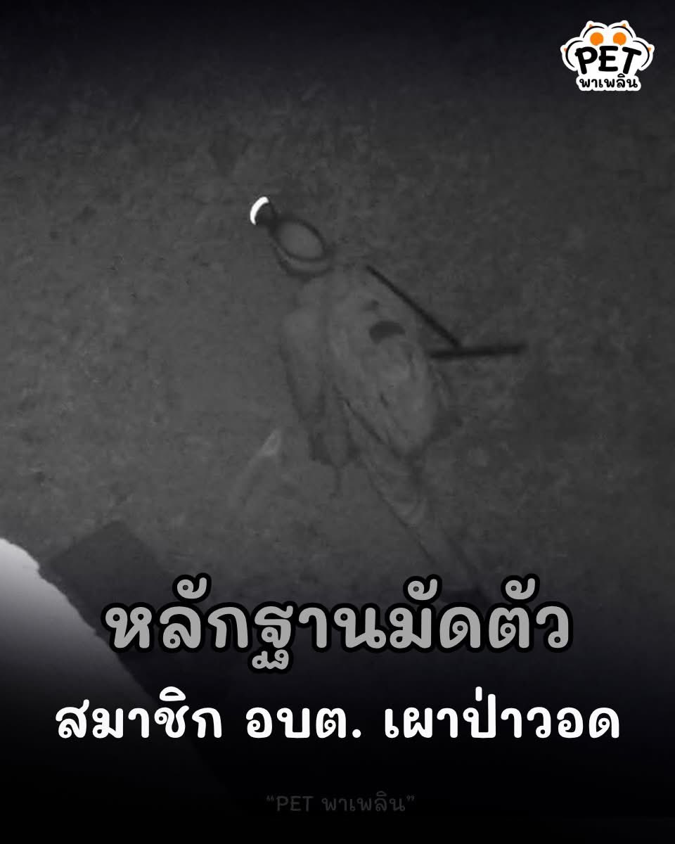 • ว้ายย อิอิอรุ่มอุ้ยอุ้ปน้ะ 🤭 tweet media