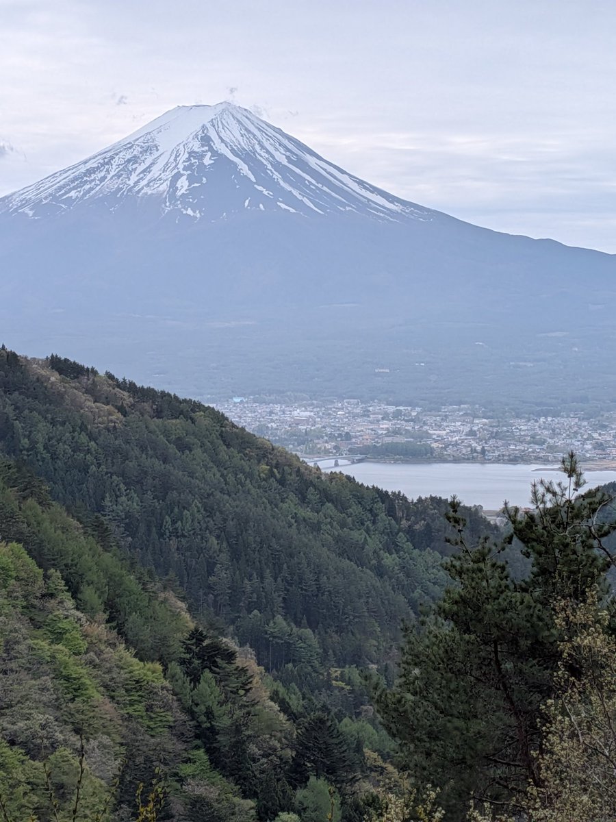 浅草スナック５６(isoroku) tweet media