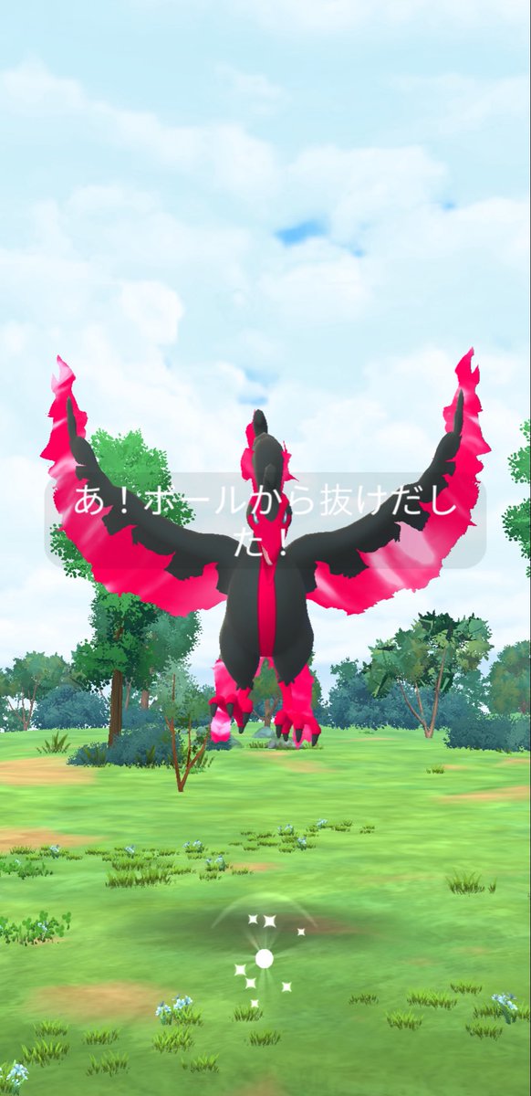 のりおうポケ垢 tweet media