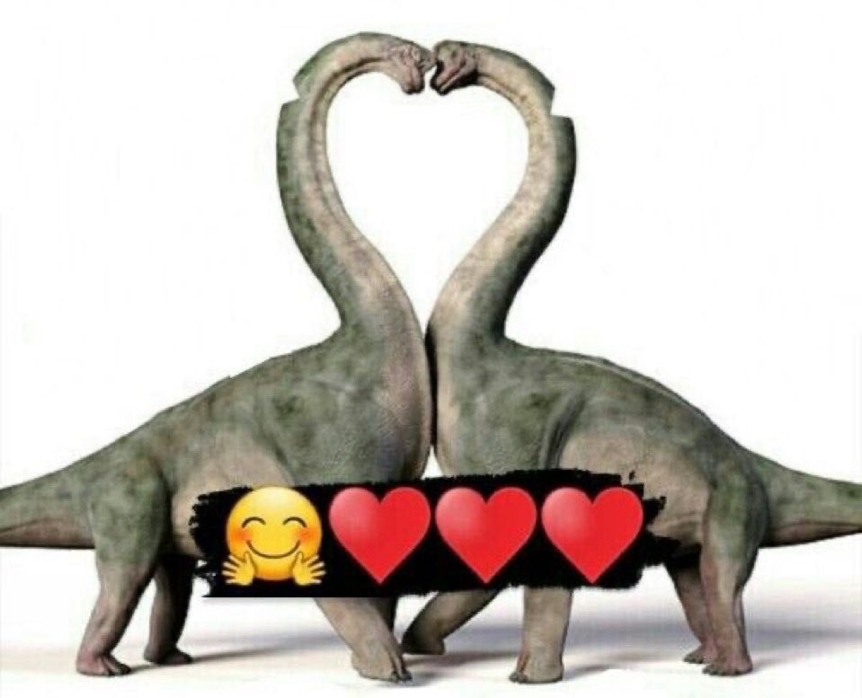 <a href="/abe_the_otter/">abe the otter #darkwoke</a> <a href="/DaIIytexas/">Dally</a>