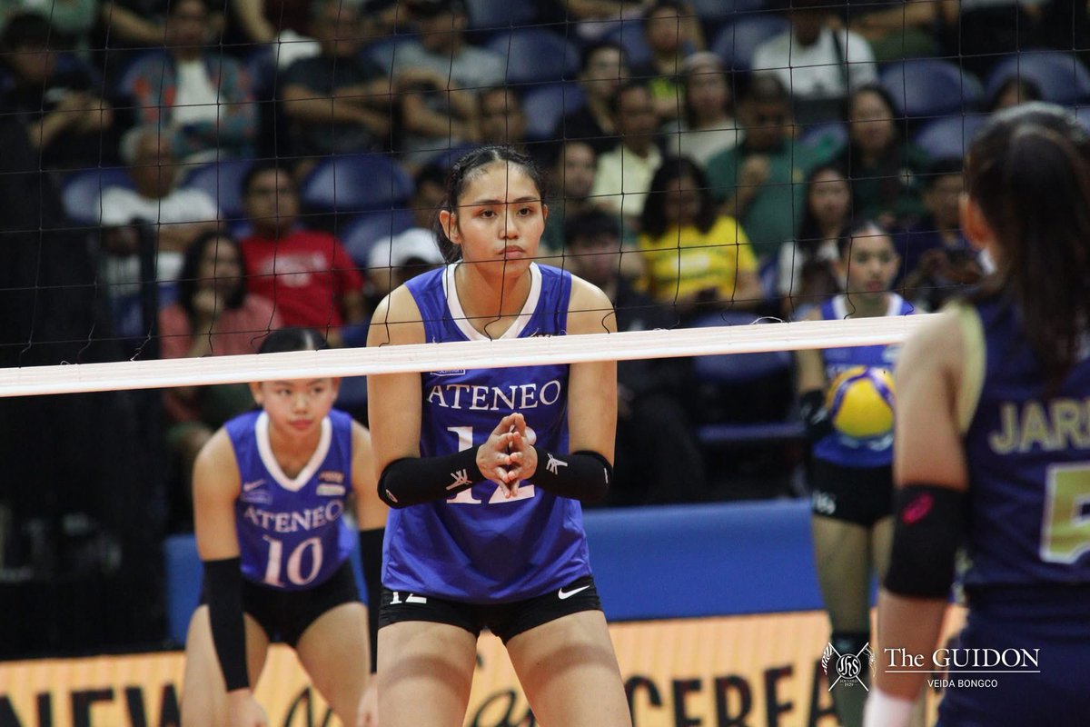 kohi alejos tweet media