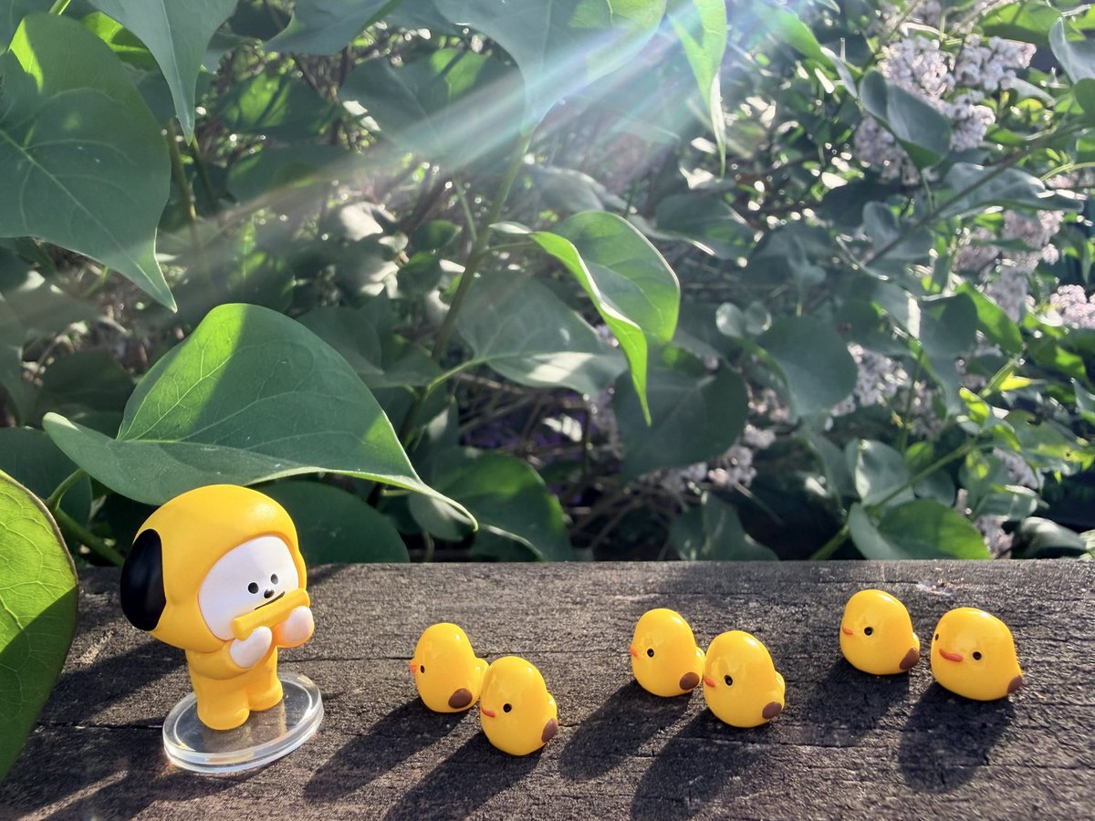 🕯🌙박라세필¹³🐥💛🎗BTS⁷ 💜 tweet media