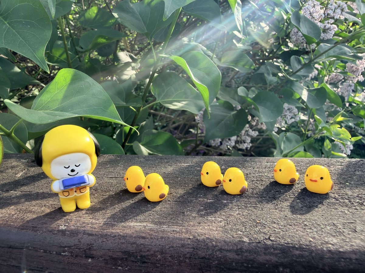 🕯🌙박라세필¹³🐥💛🎗BTS⁷ 💜 tweet media