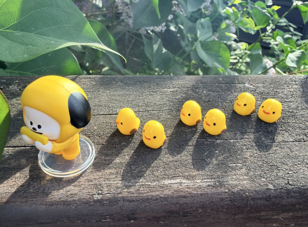 🕯🌙박라세필¹³🐥💛🎗BTS⁷ 💜 tweet media