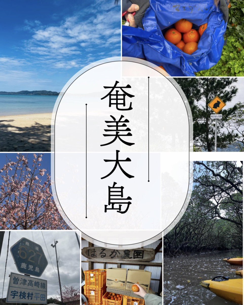 【公式】Rural Labo 🌱 | 地域活性化コミュニティ tweet media