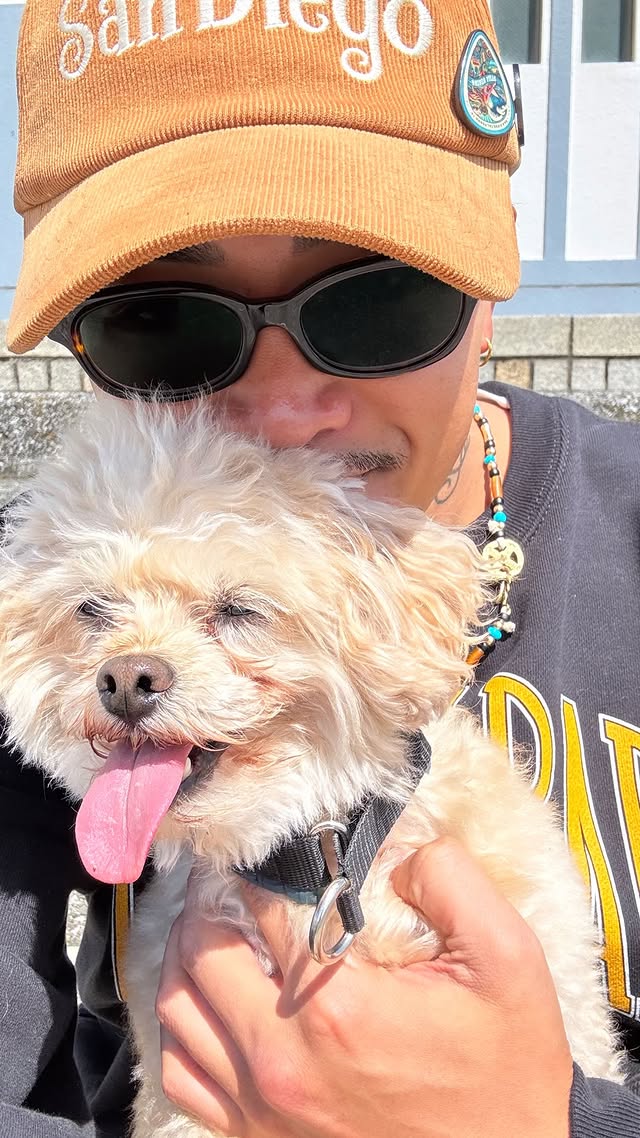 GENERATIONS' way to the World tweet media