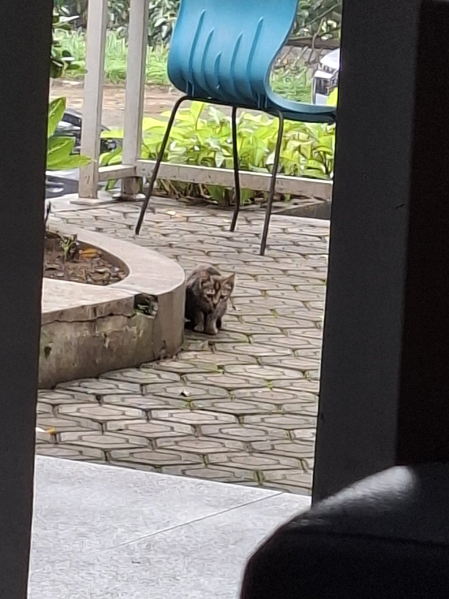 van 🪨 tweet media