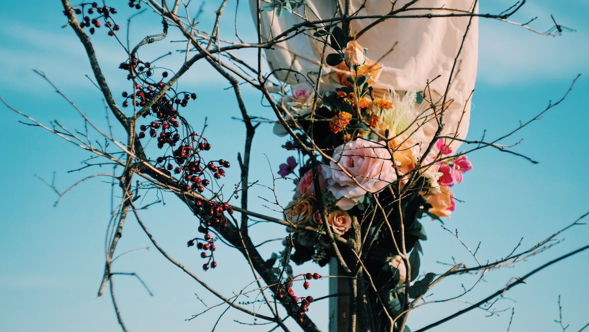 花が好きなアナタへ。