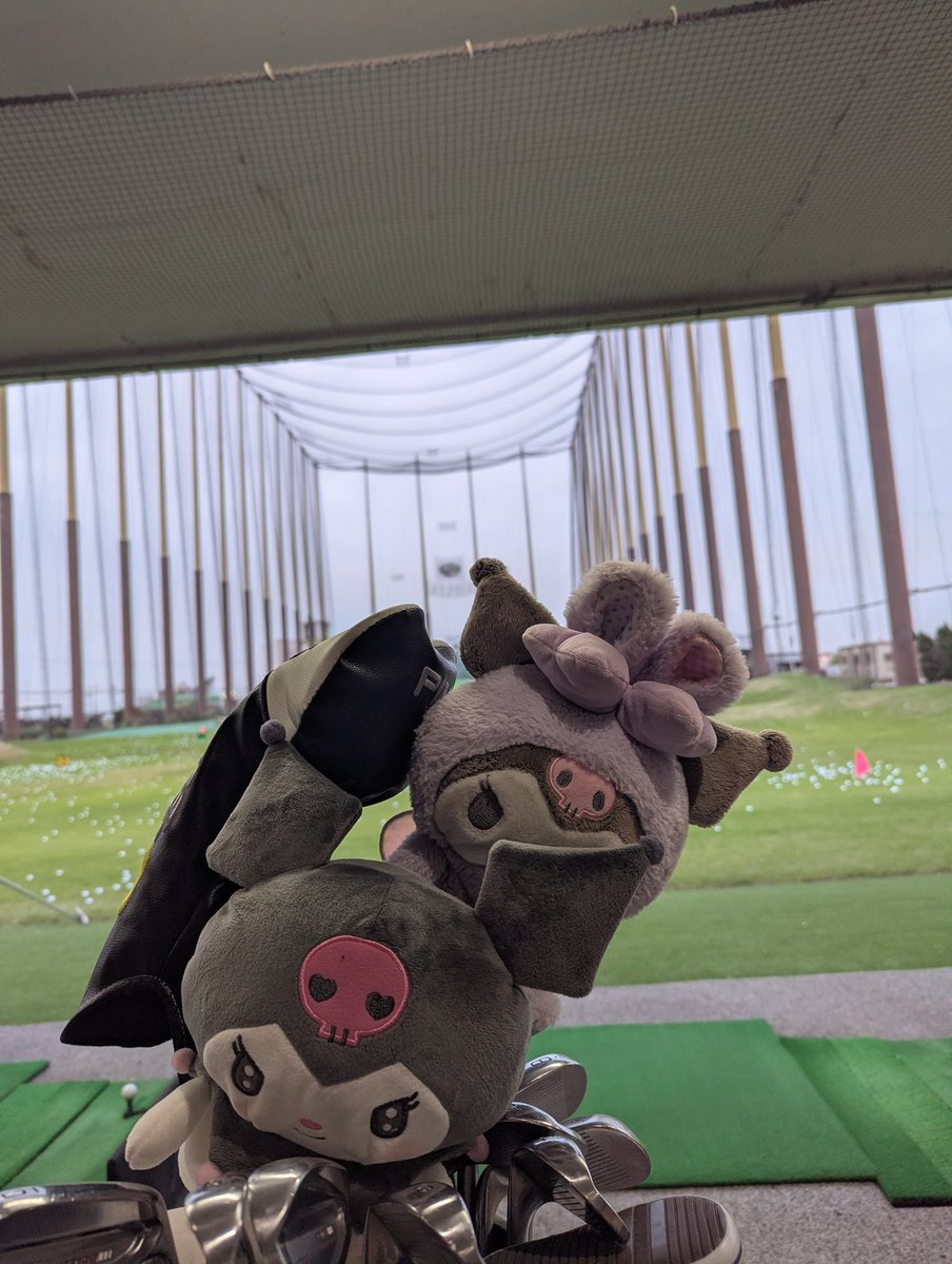 ゆういち😎⛳ tweet media