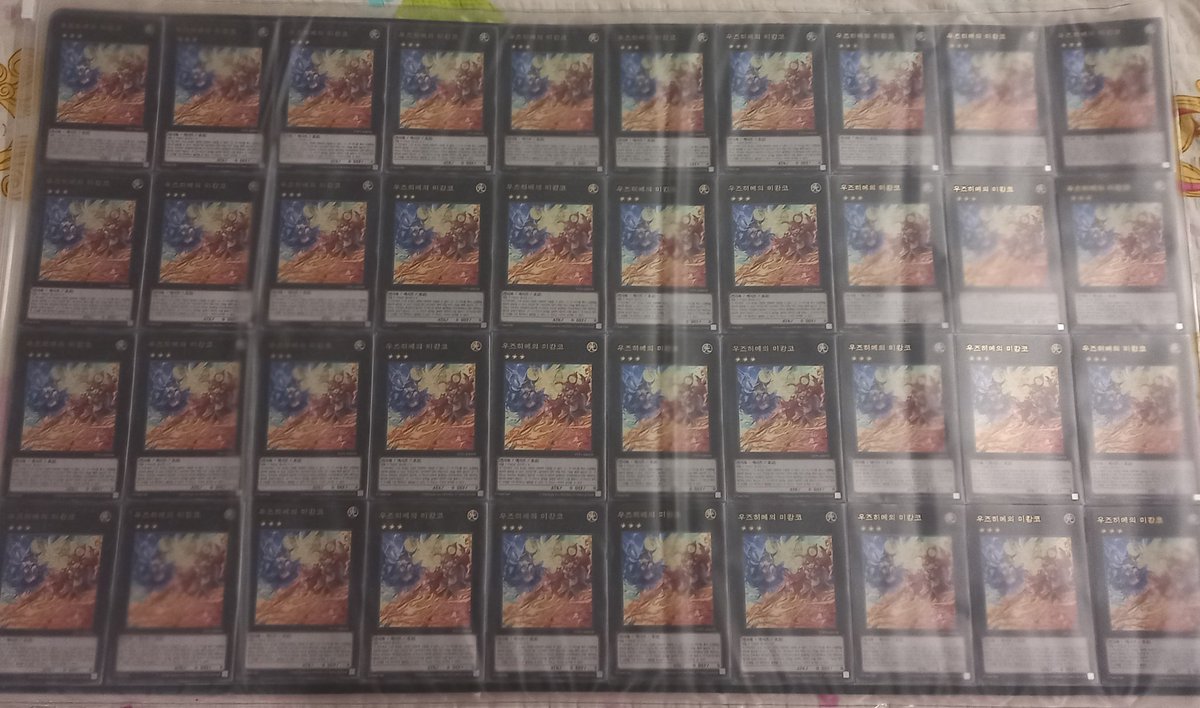 Are1i (아레일) tweet media