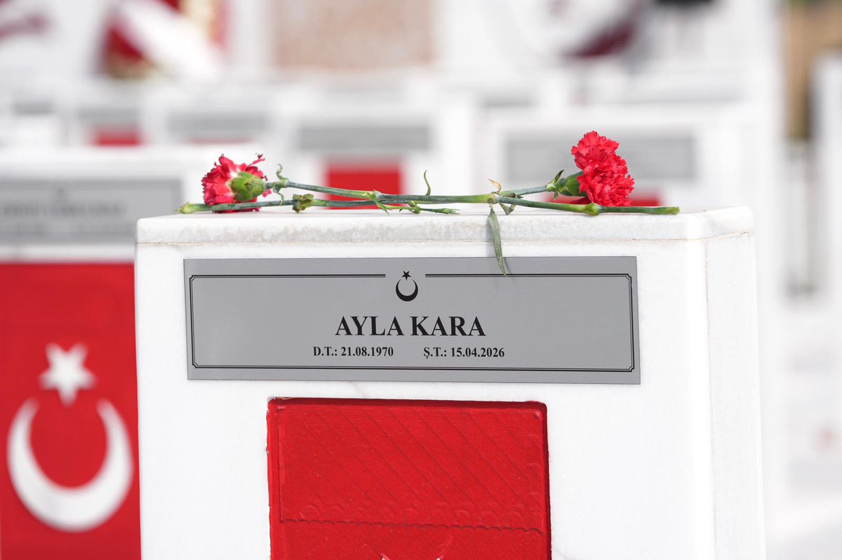 Yusuf Tekin tweet media