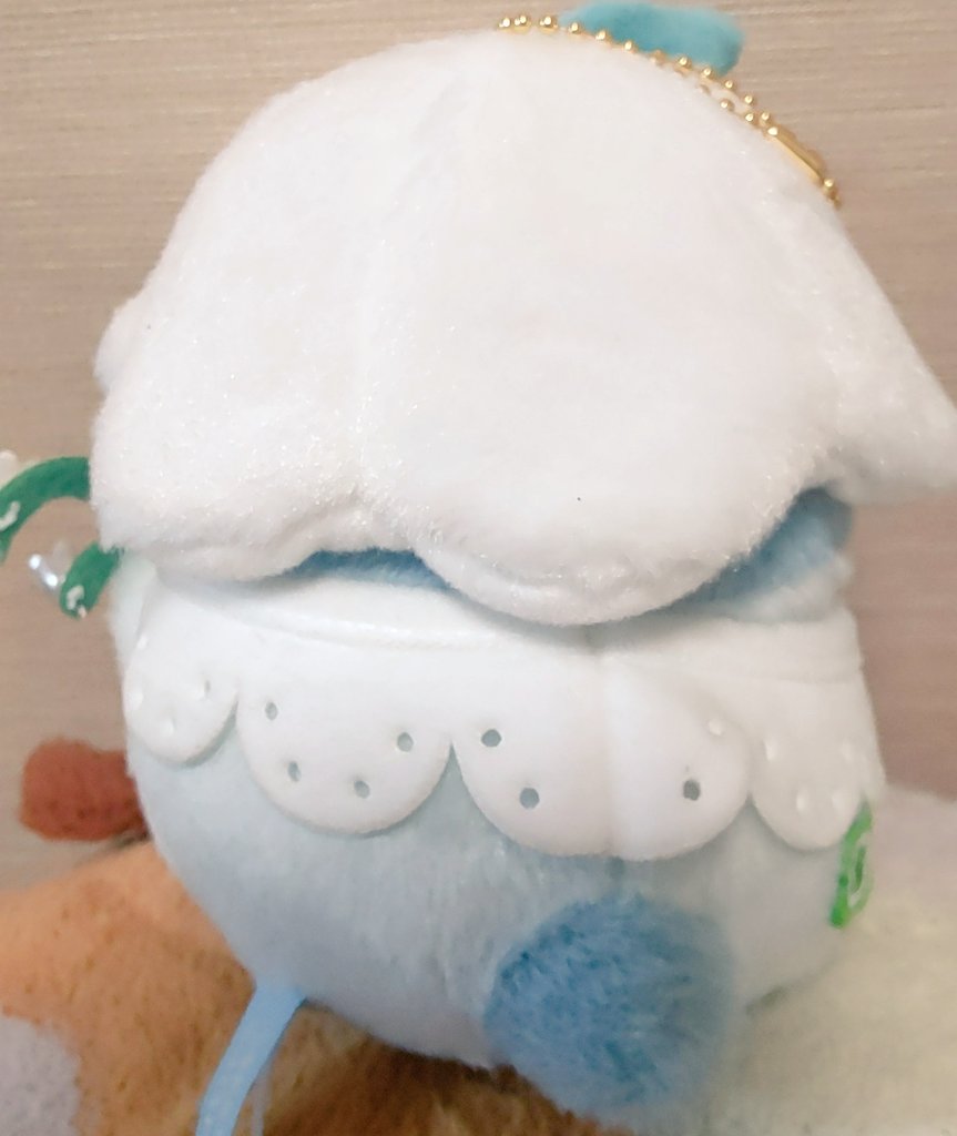 経済学部コウペンちゃん同好会 tweet media