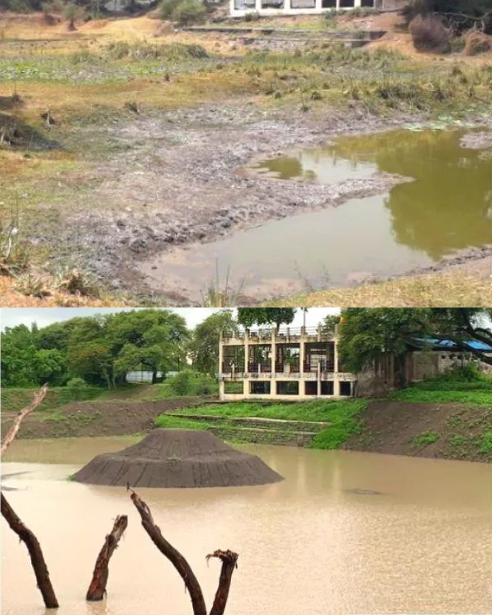 NalinisKitchen's tweet photo. In Ujjain, a historic pond had turned into a dumping ground filled with mud, weeds, and waste.

IAS officer Anshul Gupta decided to act and reached out to the Environmentalist Foundation of India. With the help of around 125 volunteers, they cleaned and restored the pond through community effort without using government funds.

After the restoration, the pond started holding water again, birds and wildlife returned, and the groundwater level in the area improved.