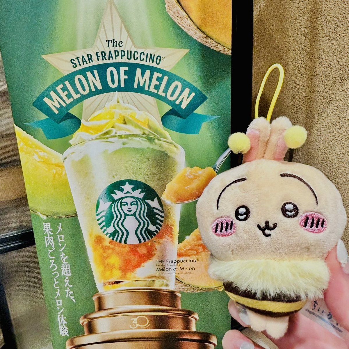 ずー🐰🍮 tweet media