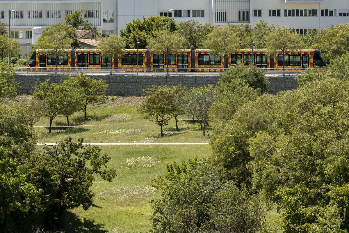 tamvoyages tweet media