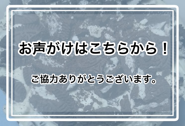 ディラン※リトリン必読 tweet media