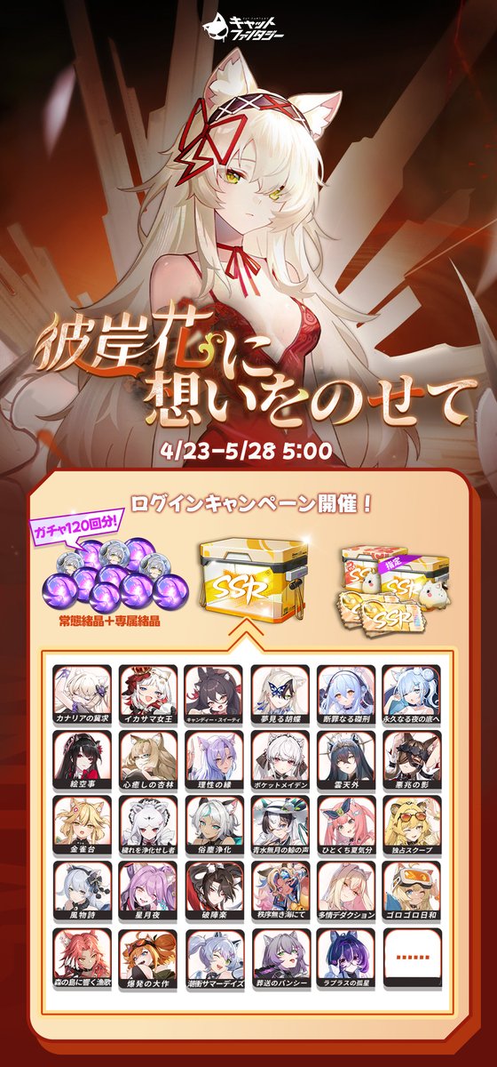 【公式】キャットファンタジー Cat Fantasy tweet media