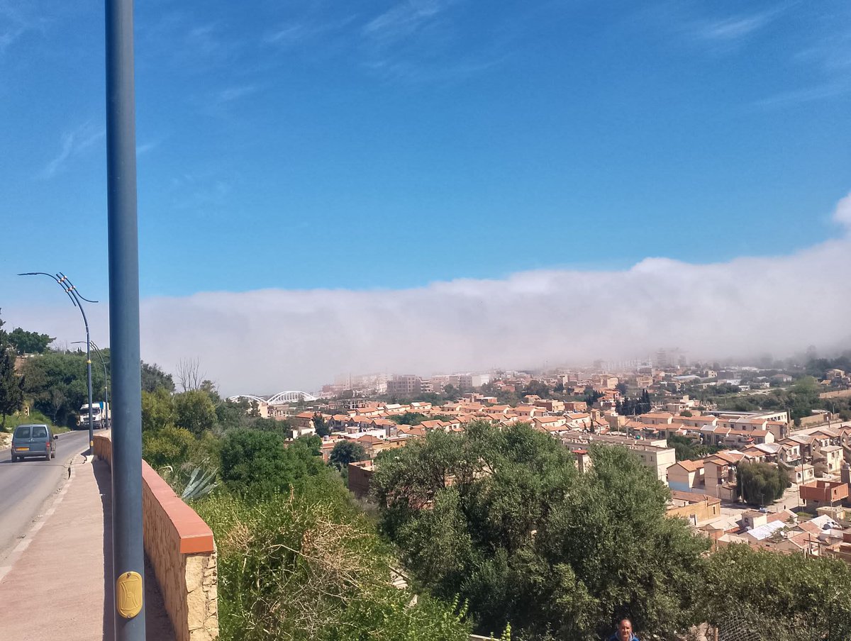 L'africaine 🇩🇿 tweet media