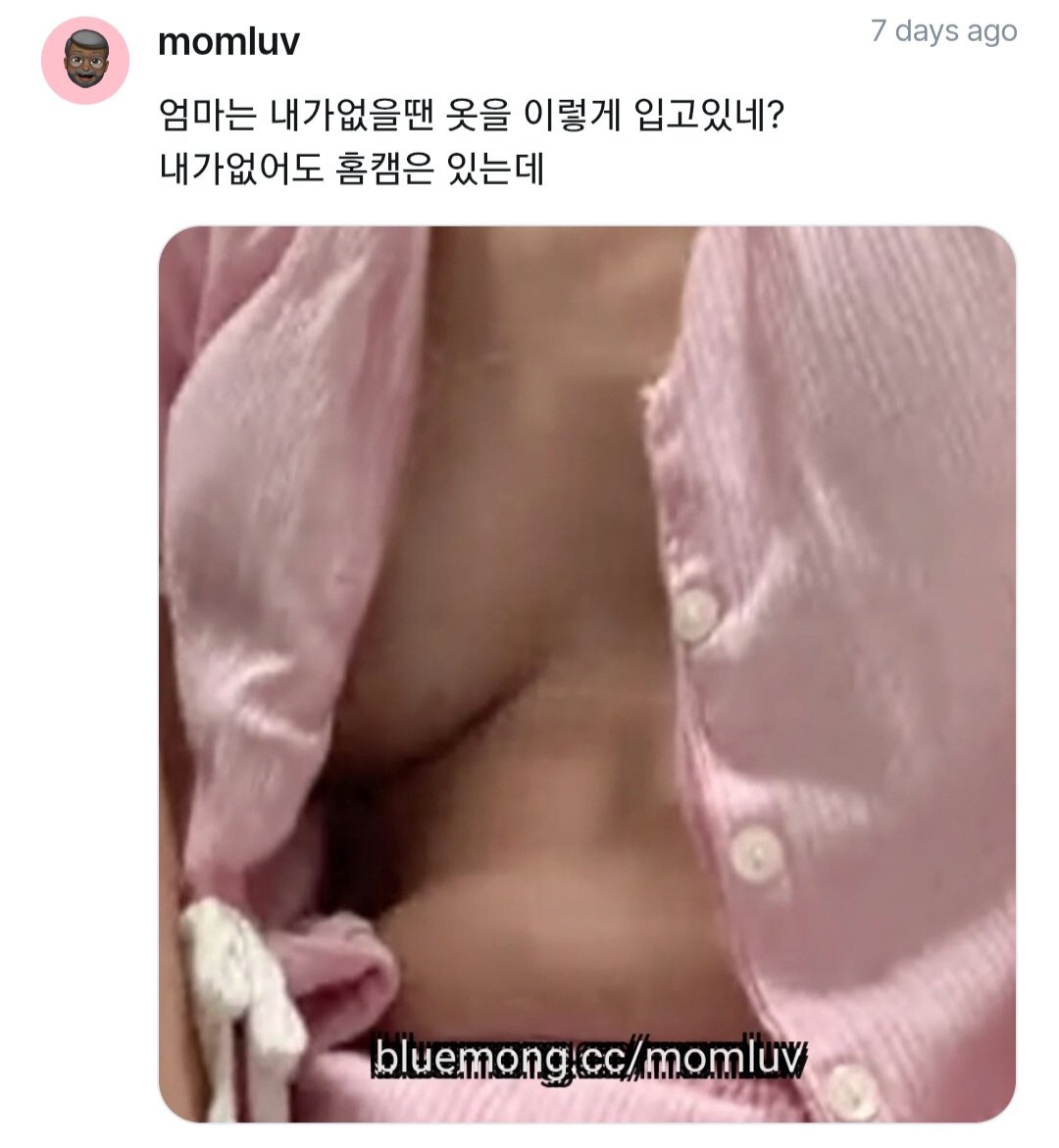 정크루 tweet media