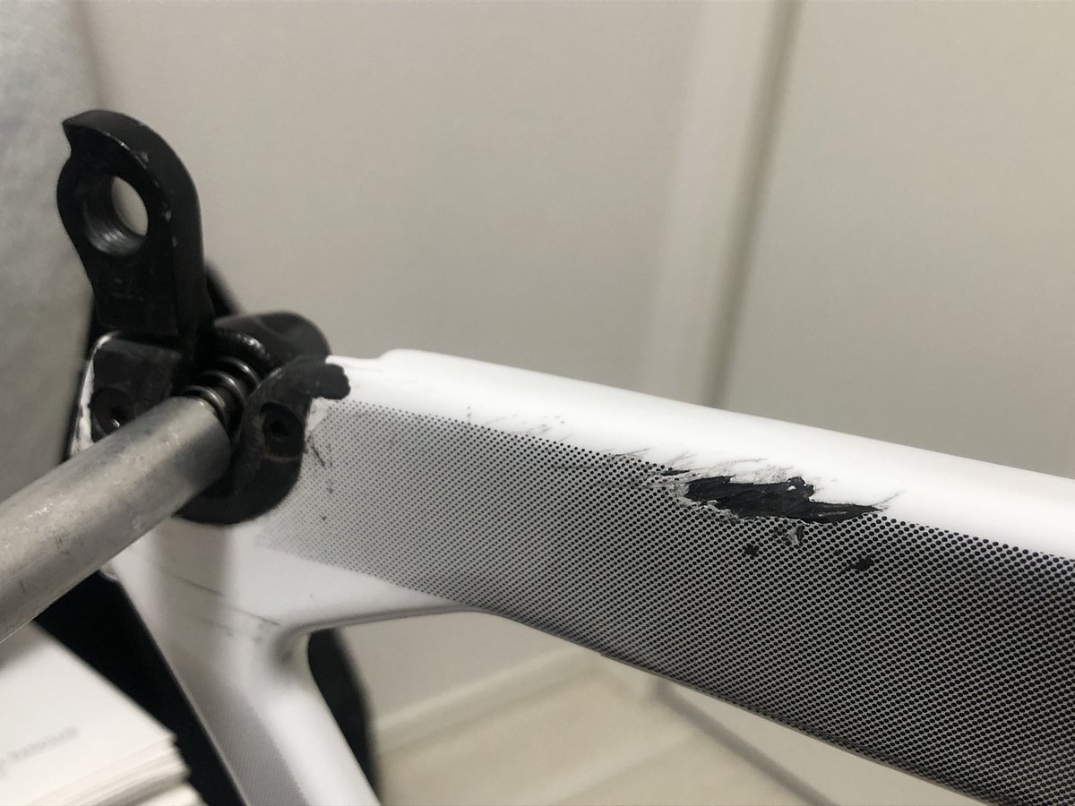 ﾏﾐｼﾞﾛｷｸｲﾀﾀﾞｷ✨️🤟 tweet media