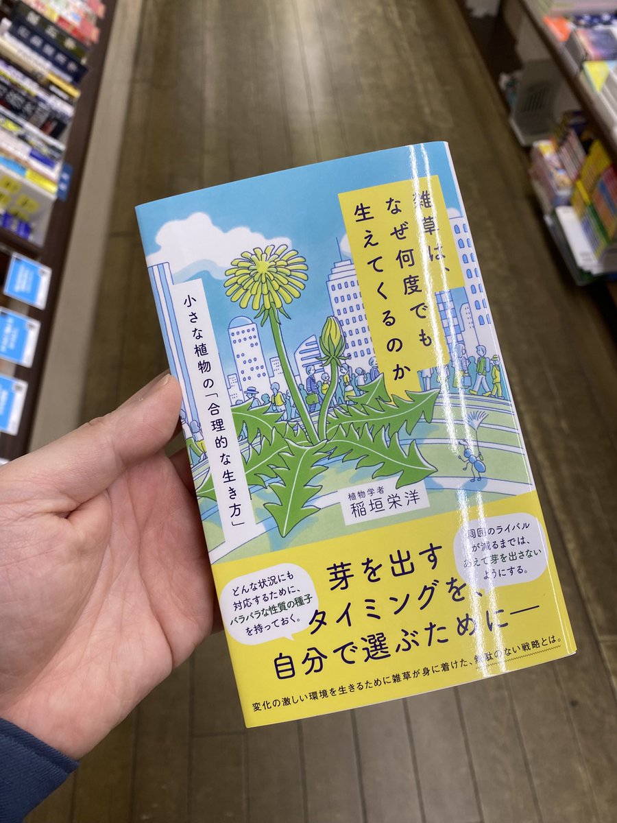 SeiwadoBooks's tweet photo. 抜いても、気づけばまた生えている。
そのたくましさに、むしろ勇気をもらうこともあります💦 https://t.co/KLfYf9YS4G