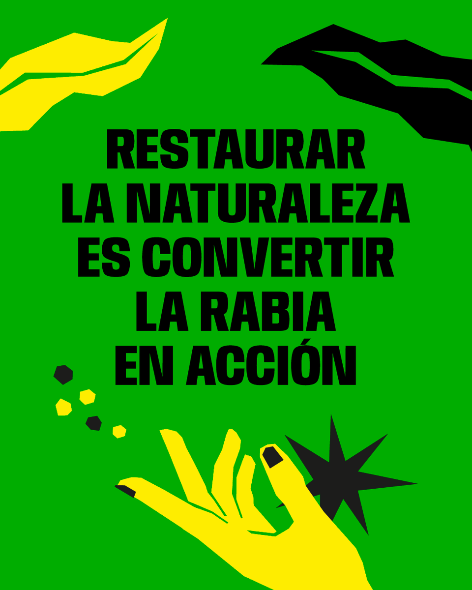 WWF España 🐼 tweet media