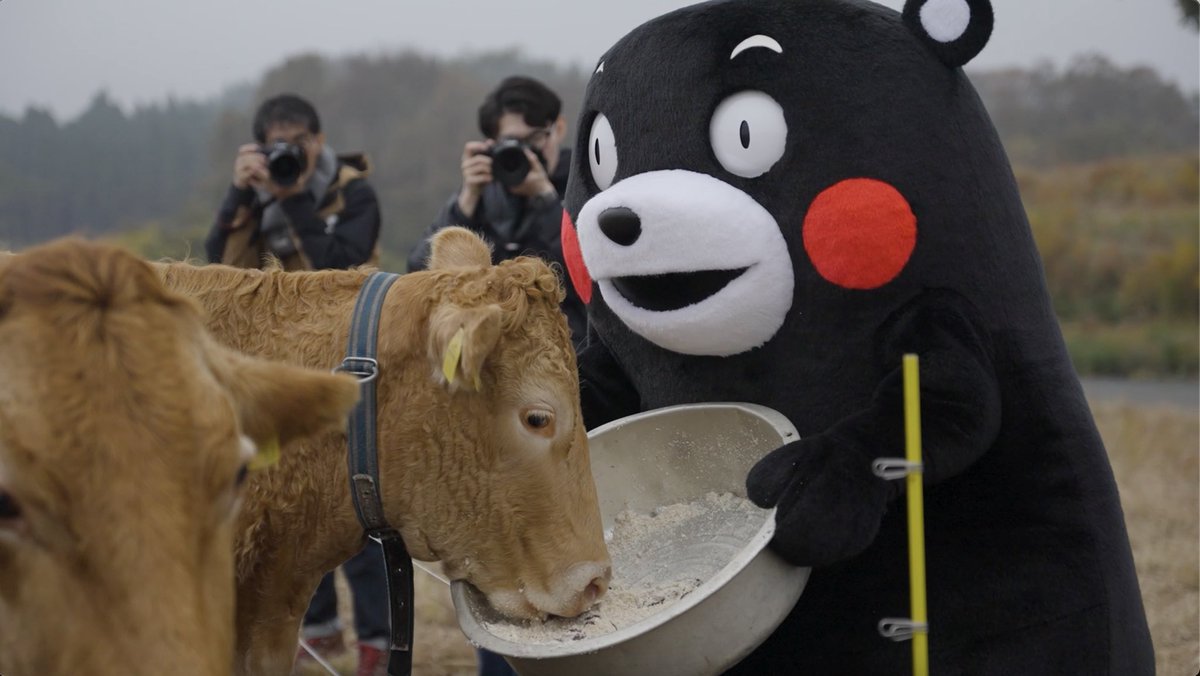 くまモン【公式】 tweet media