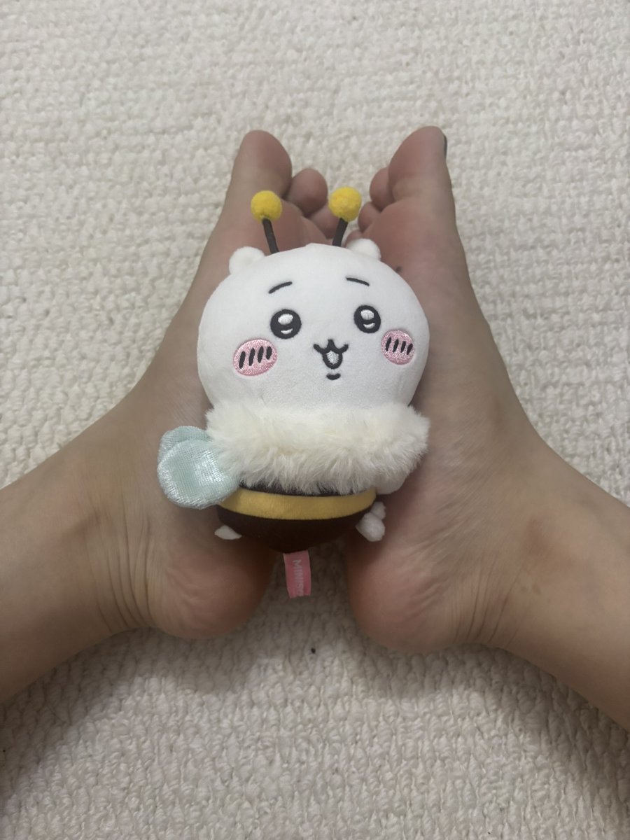 原味小Yonect🎉（可面交 接定制） tweet media