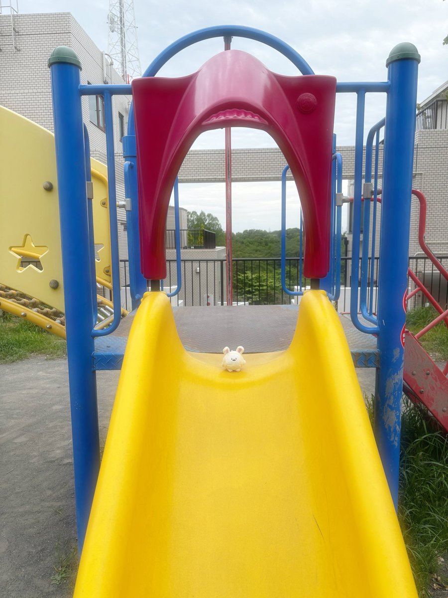 うたた寝 tweet media