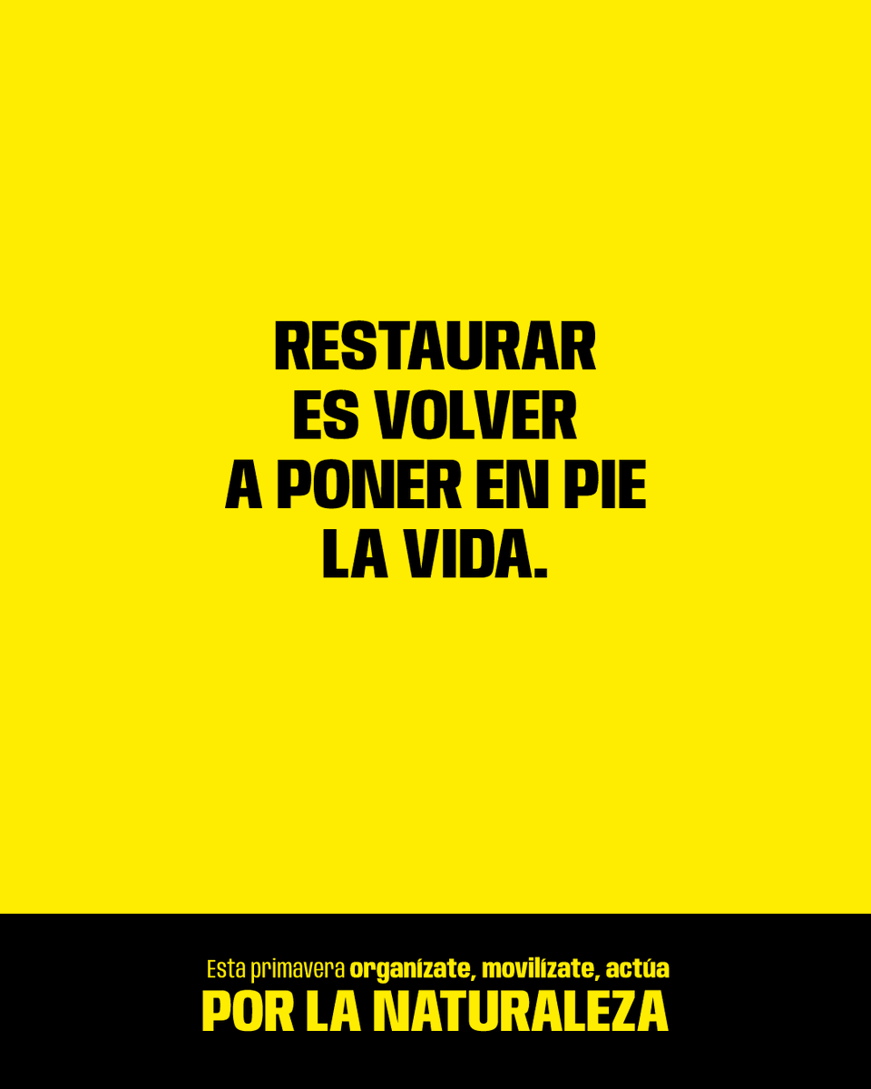 WWF España 🐼 tweet media