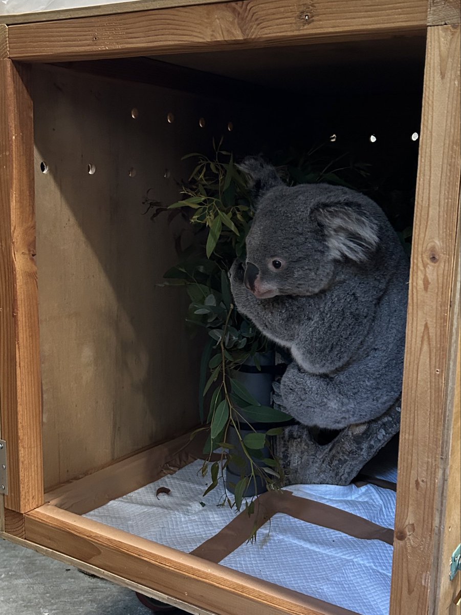 淡路ファームパーク イングランドの丘【公式】 tweet media