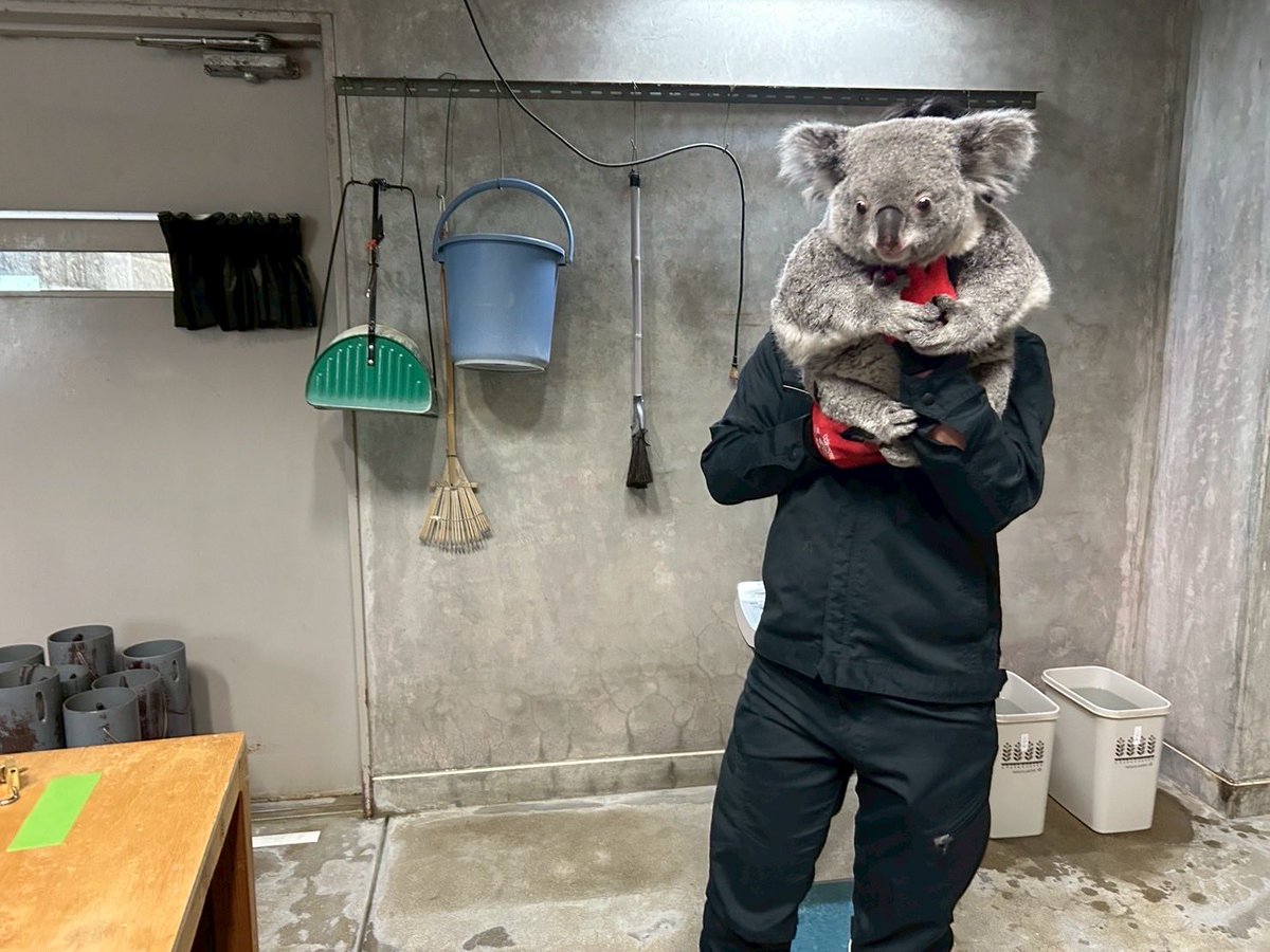 淡路ファームパーク イングランドの丘【公式】 tweet media