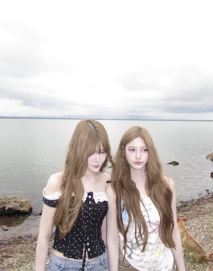 digitalcam tweet media