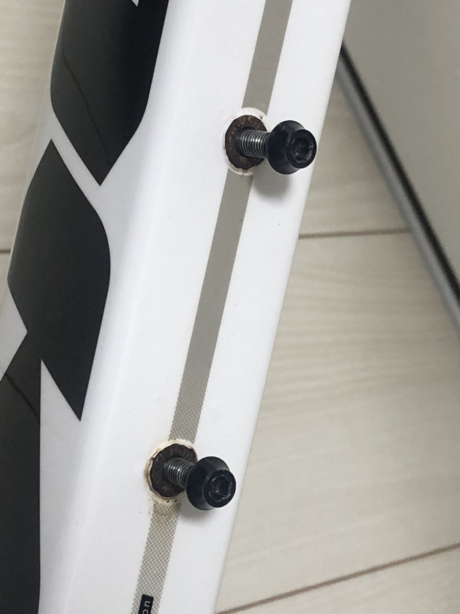 ﾏﾐｼﾞﾛｷｸｲﾀﾀﾞｷ✨️🤟 tweet media