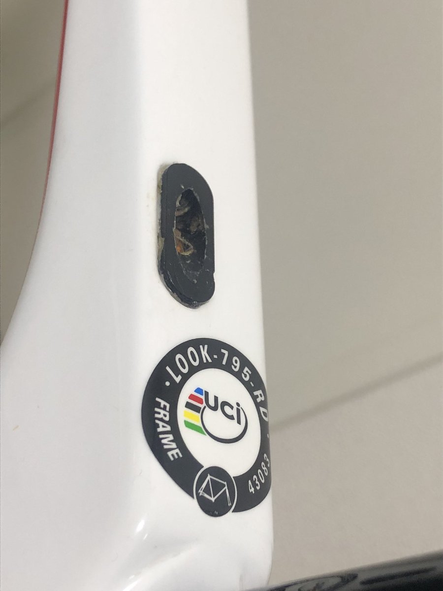 ﾏﾐｼﾞﾛｷｸｲﾀﾀﾞｷ✨️🤟 tweet media