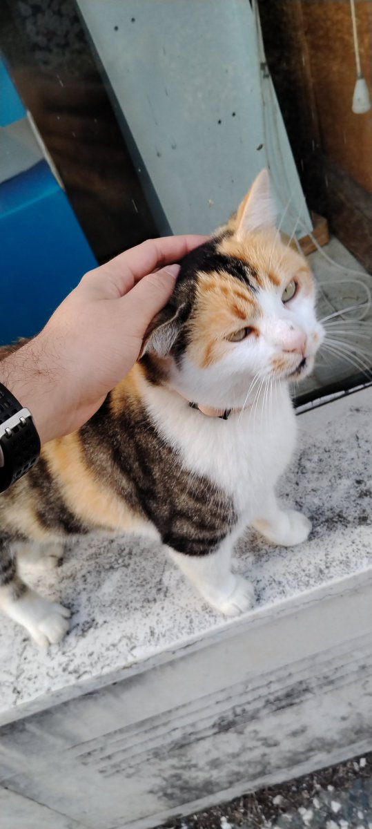 Hugo_F_Run's tweet photo. @TopAchat Lui, il joue à stray en 20 fps, le pauvre 😭 https://t.co/xHOpXhnOYx