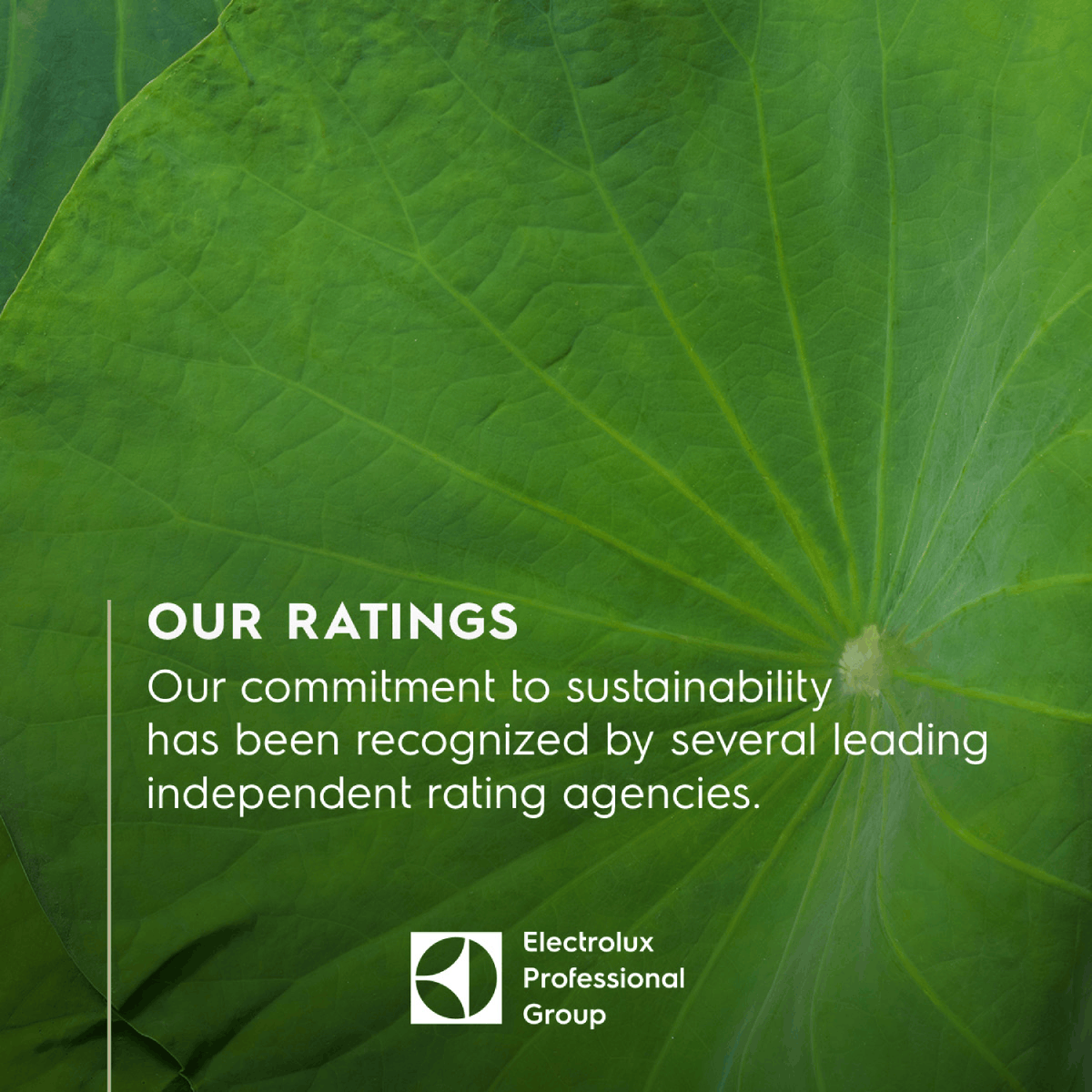 ElectroluxPro's tweet photo. On #InternationalMotherEarthDay, we reflect on our responsibility to build a more sustainable future—by listening, acting responsibly, and delivering lasting value for our customers and the planet. https://t.co/n4w1Cy0jpo
#Sustainability #EarthDay2026 #OurPowerOurPlanet https://t.co/mQoqmfmwI0