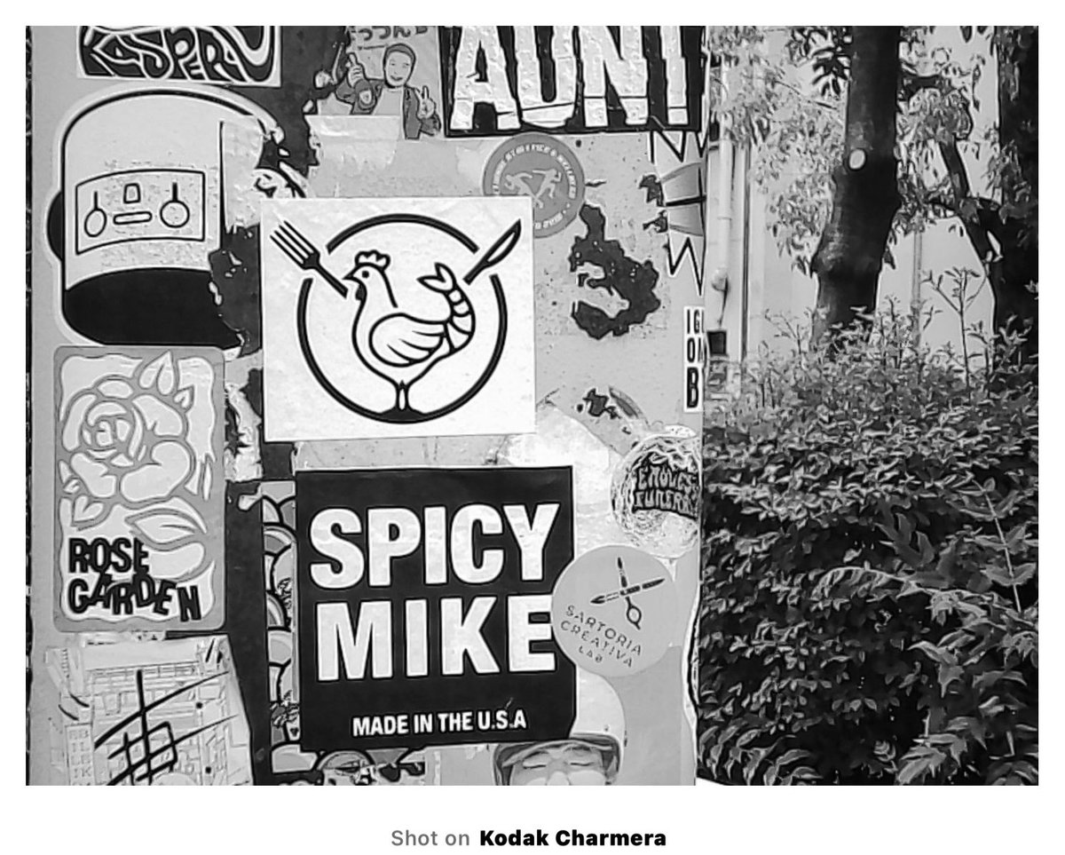 ystk_rwb911's tweet image. 「Kodak Charmera」

B&amp;amp;W Photo📷📷📷

#Kodak 
#Charmera
#KodakCharmera