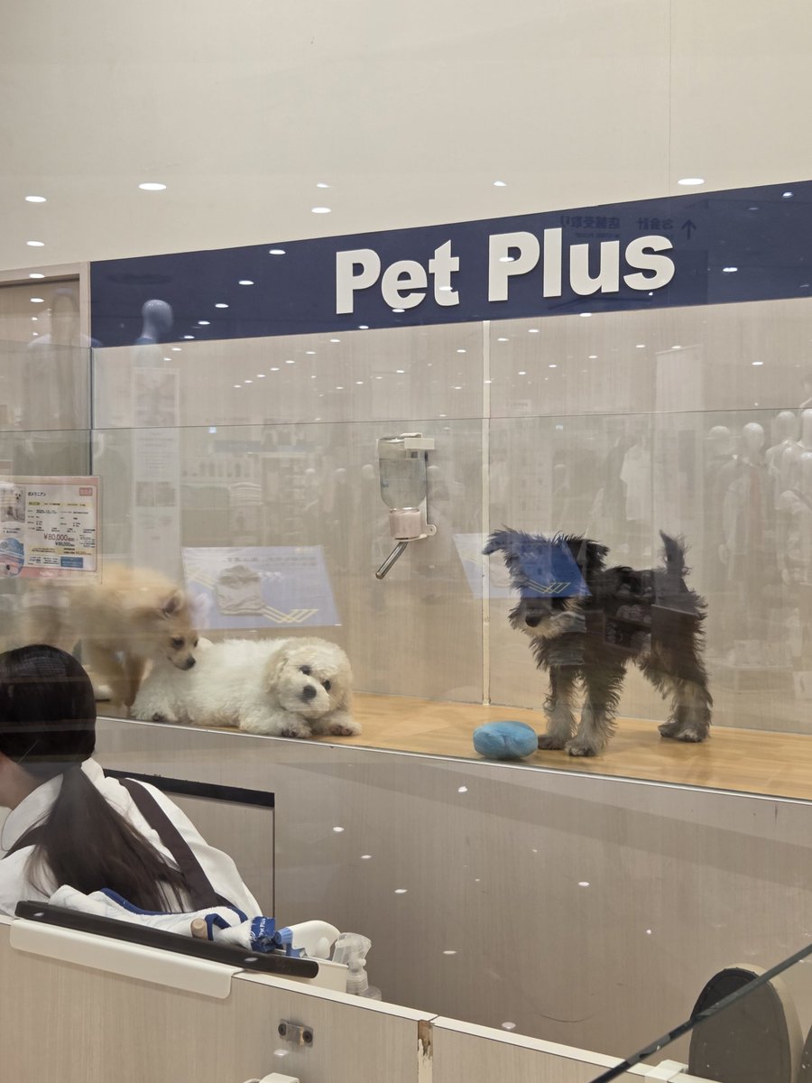 パンタグラフ tweet media