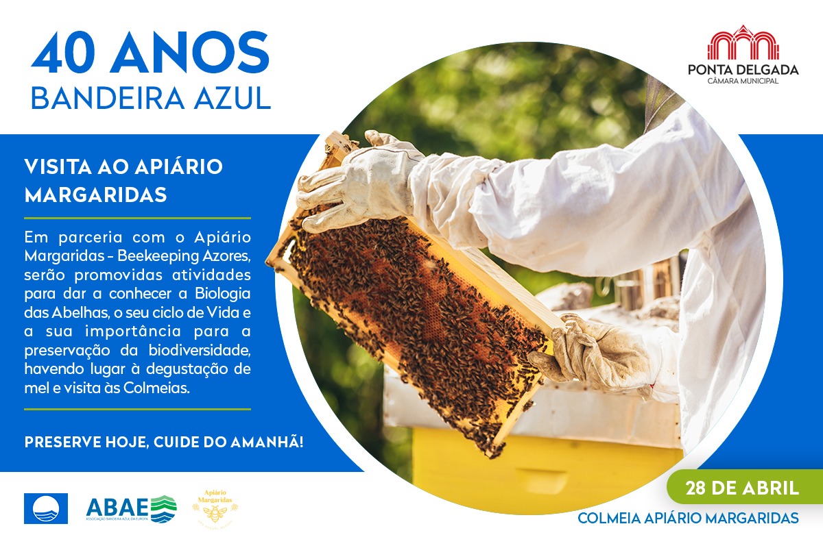 CMPontaDelgada's tweet image. ➡️ A #CMPD, em parceria com o Apiário Margaridas, promove, no próximo dia 28 de abril, uma ação educativa com alunos da Escola Secundária das Laranjeiras, sensibilizando para o papel essencial das abelhas na preservação da biodiversidade.

Saiba mais: pontadelgada.city/4tqy3mz