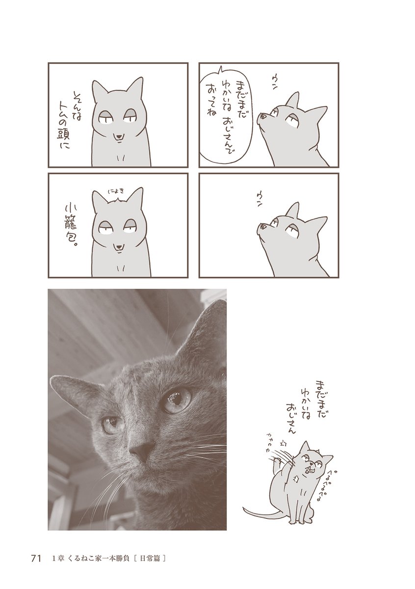 【公式】くるねこ tweet media